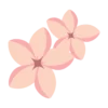 Hotel Frangipani